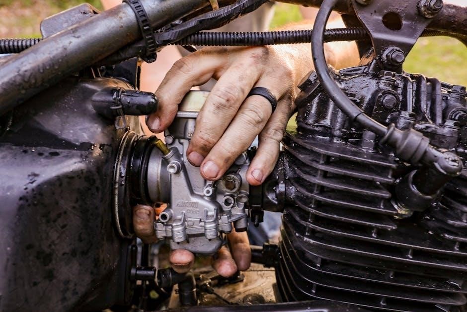 manual oficial para licencias de conducir de florida