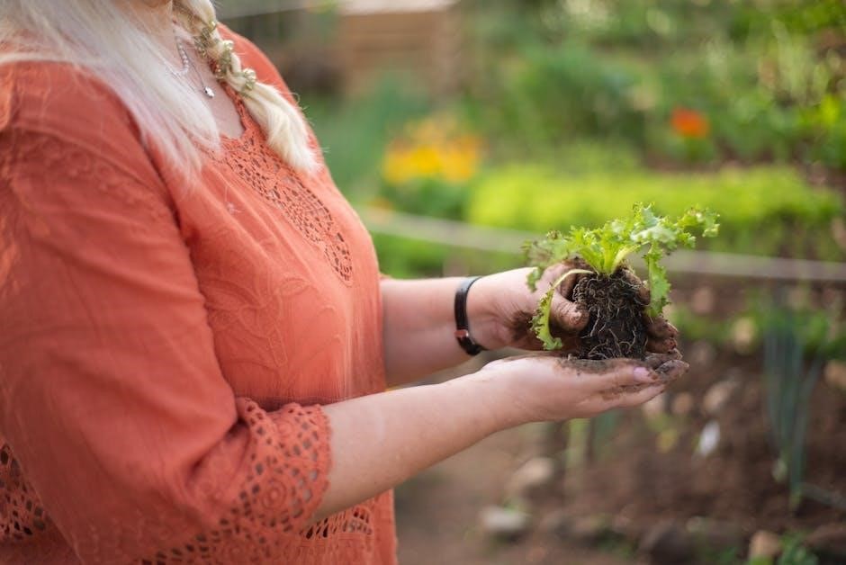 vegetable planting guide perth wa