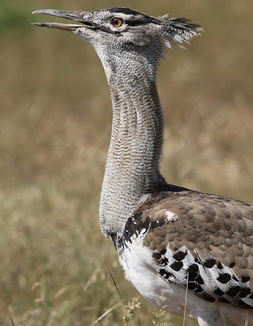 birds of montana field guide
